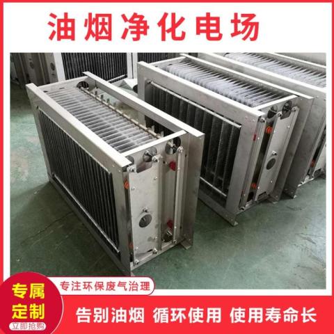 双高压电场模块静电式等离子油烟净化机芯