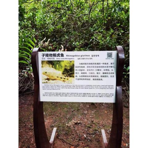 扫码讲解小程序展览馆语音导览设备