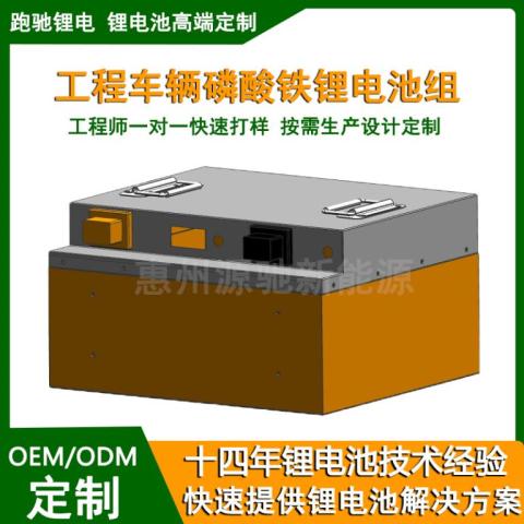 电动巡逻机器人设备专用锂电池24V36V48V100Ah磷酸铁锂电池组定制