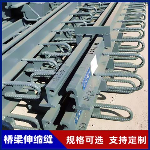 多向变位桥梁伸缩缝可按需定制