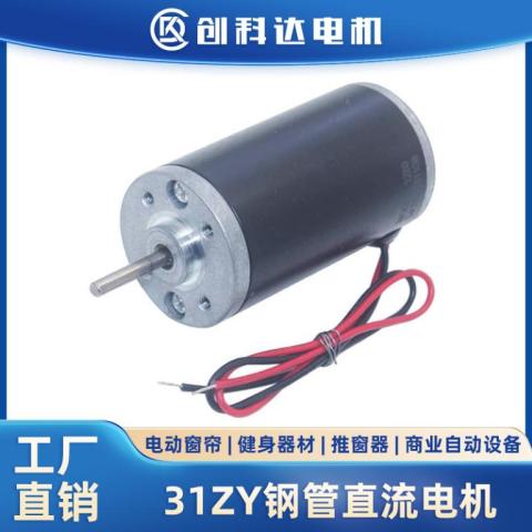 31ZY钢管直流电机微型大功率马达