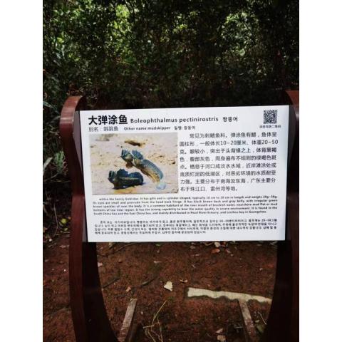 二維碼語音講解設備展廳導覽小程序