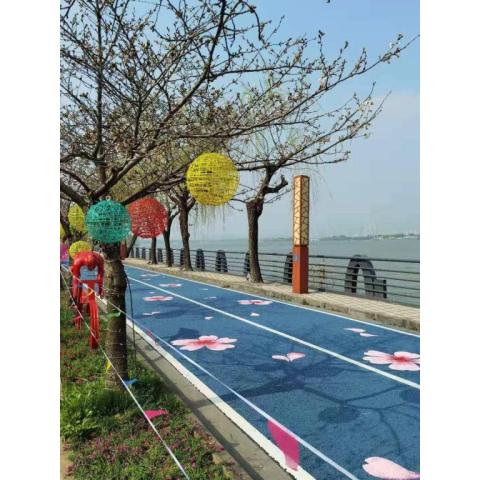 林芝市環(huán)島水性SP彩色防滑路面