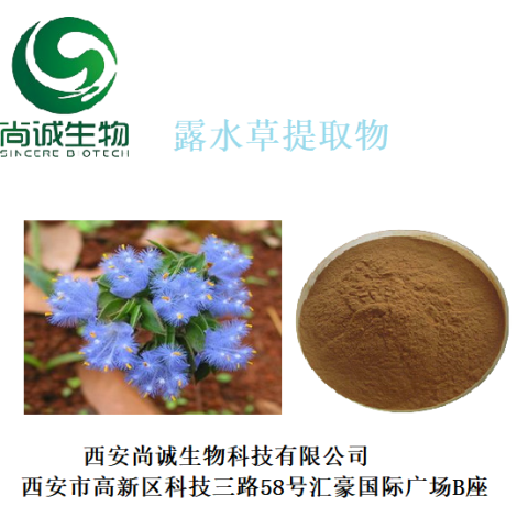 露水草提取物 蛻皮甾酮