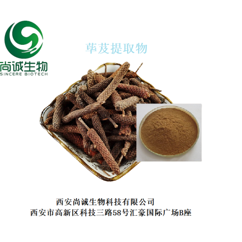 蓽茇提取物