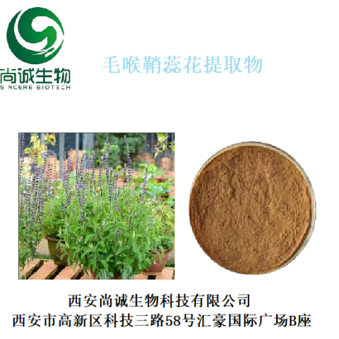 毛喉鞘蕊花提取物