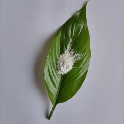 電池正極材料專用金紅石納米二氧化鈦CY-T30D
