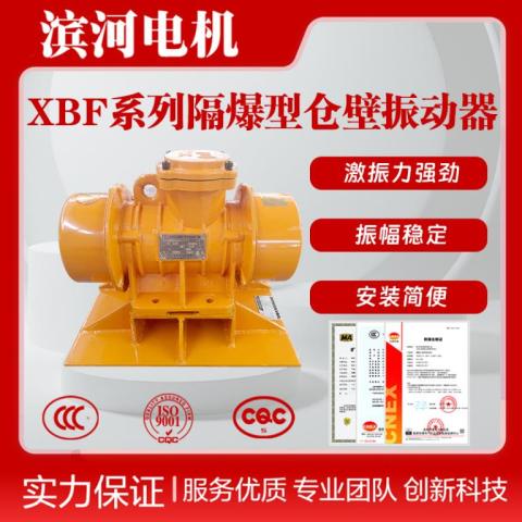 XBF系列隔爆型料仓振动器