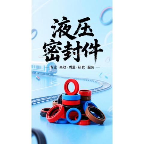 铁路液压制动抗震动液压密封件定制
