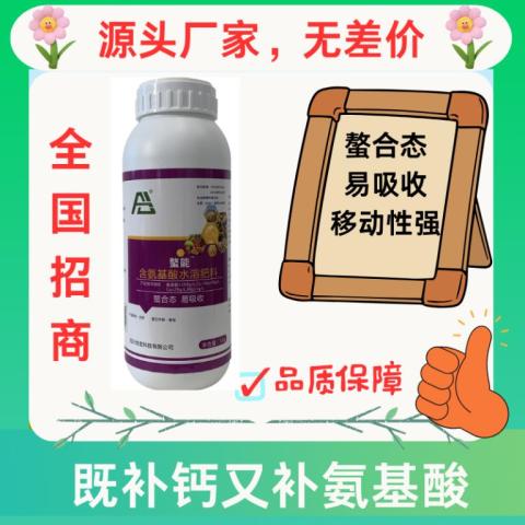 螯能（第三代有机螯合钙）
