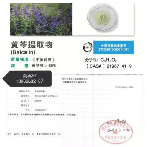 黄芩提取物