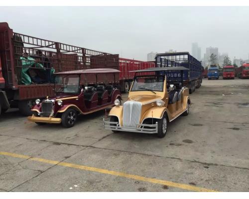 長(zhǎng)沙電動(dòng)老爺看房擺渡車