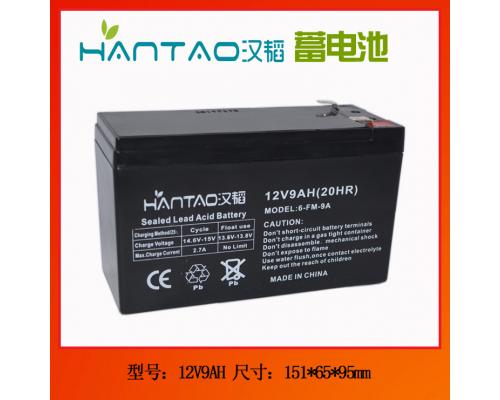 12V9AH卡通气模蓄电池