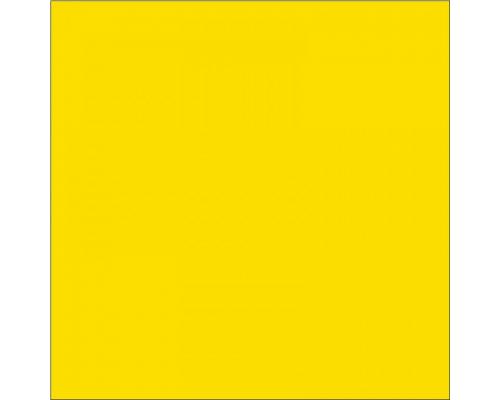 分散黄 Yellow P-4G 100%