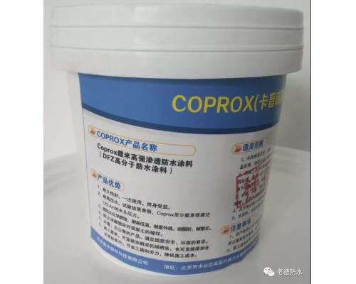 Coprox高强堵漏粉