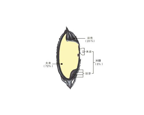 米糠油