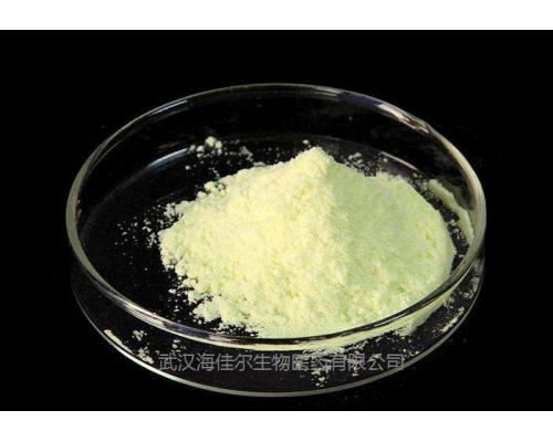 醋酸氯地孕酮原料302-22-7