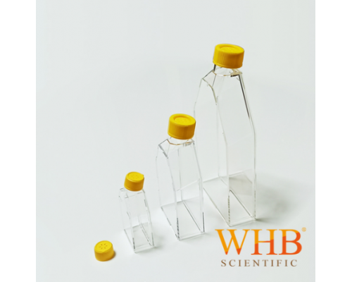 WHB 细胞培养瓶