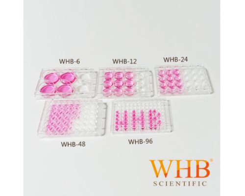 WHB 细胞培养板