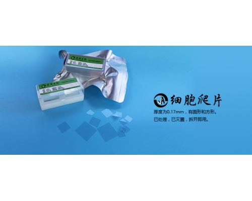 6孔板配套圆形细胞爬片24mm盖玻片拆包即用