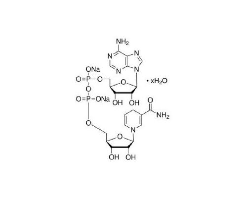 β-烟酰胺腺嘌呤二核苷酸二钠盐水合物（还原型）NADH