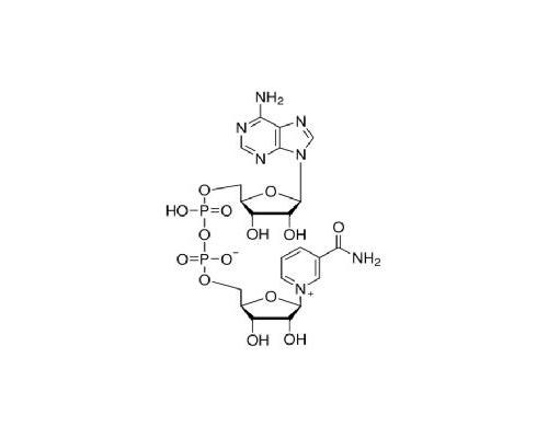 β-烟酰胺腺嘌呤二核苷酸（氧化型）生物转化级  NAD