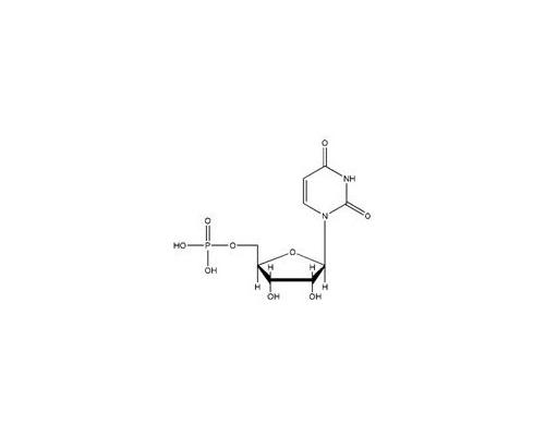 5’-尿苷酸 UMP-H