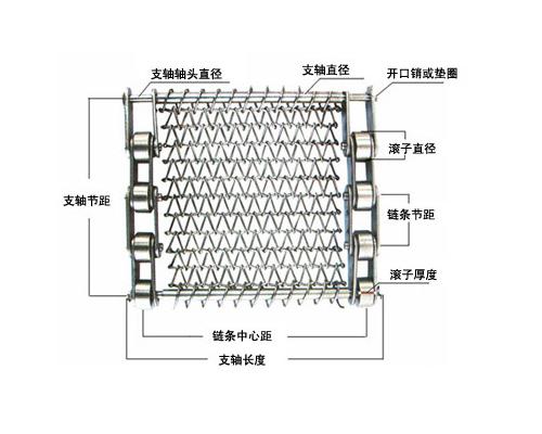 链条网带