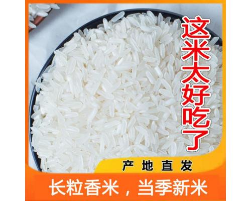 南方大米批发价长粒香米