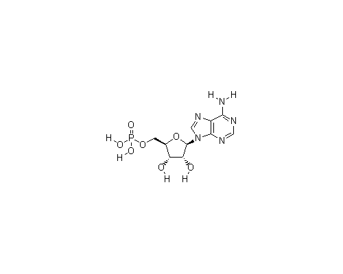 腺苷酸