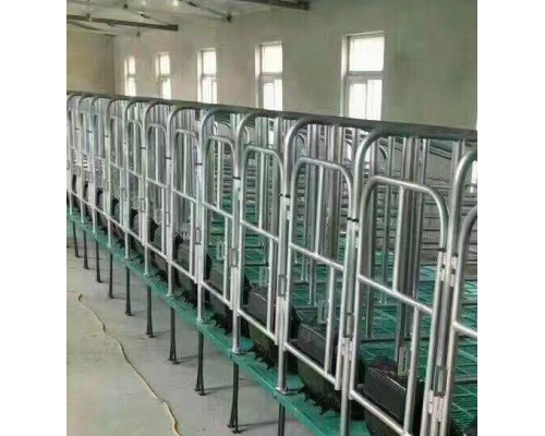 母猪定位栏猪用限位栏产床母猪分娩床养猪设备厂家直供
