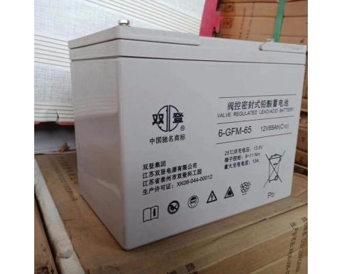 ups蓄电池双登6-GFM-65机房铅酸电池免维护12V65AH