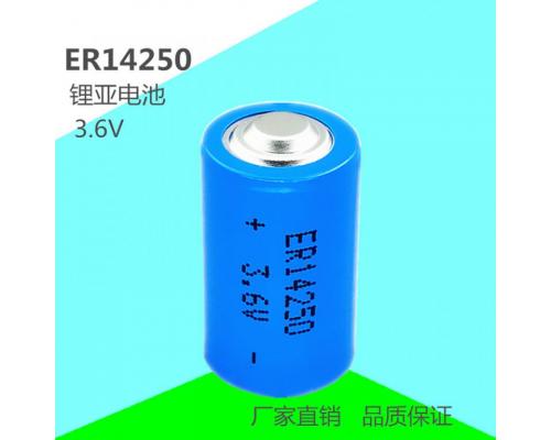 ER14250  3.6V设备工控仪器仪表PLC锂亚1/2AA电池
