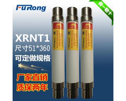 高压熔断器XRNT1-10KV/31.5A 熔断器底座SDLAJ-12KV/31.5A