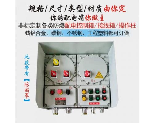 不锈钢防爆配电控制箱PLC防爆变频箱
