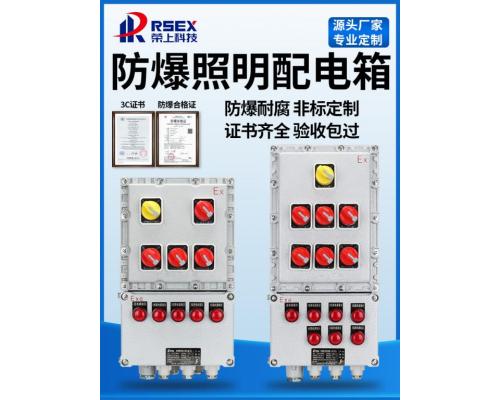 防爆配电箱电控箱隔爆开关电源按钮箱