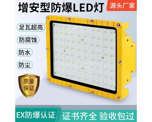 LED防爆灯50W防腐泛光灯