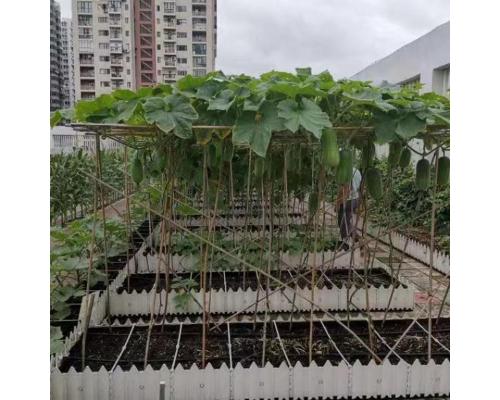 屋顶绿化轻质土保水透气菜园基质种植营养土肥效持久