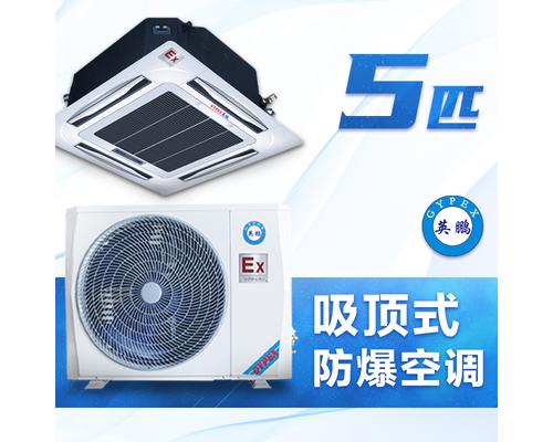 吸顶式防爆空调5匹-BFKT-12T
