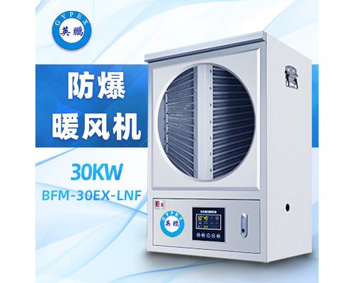 防爆电热丝工业暖风机 BFM-30EX-LNF