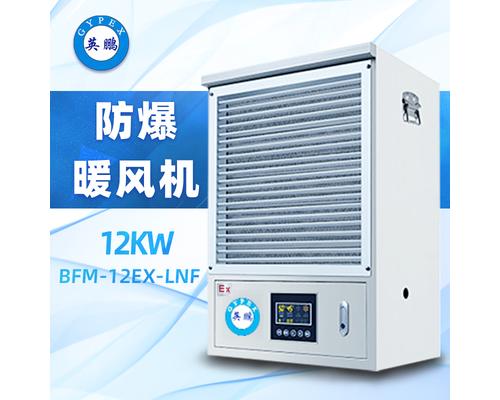 防爆电热丝工业暖风机 BFM-12EX-LNF