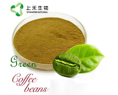 绿咖啡豆提取物绿原酸