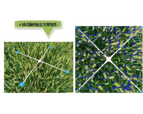 SC-MS型小麦亩穗数测量分析系统
