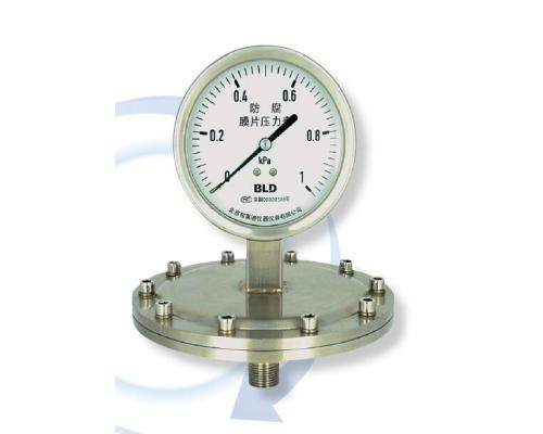 全不锈钢（耐震）膜片压力表 BF（N）-100.A0.531.K200.M20