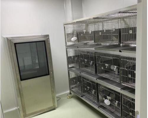 动物实验室净化装修工程华旭洁净工程
