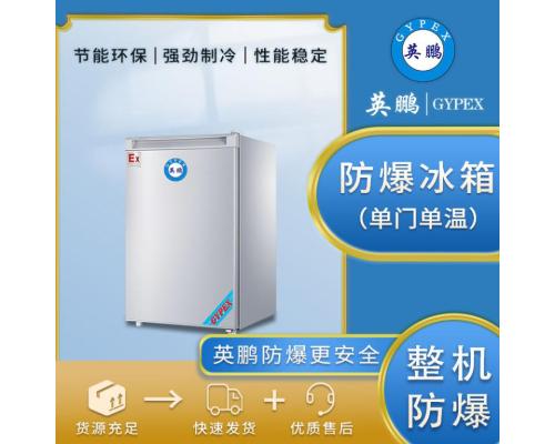 防爆冰箱商用单温立式大容量冰柜BL-400DM150L