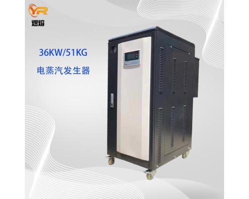 反应釜供汽用36KW全自动电蒸汽发生器