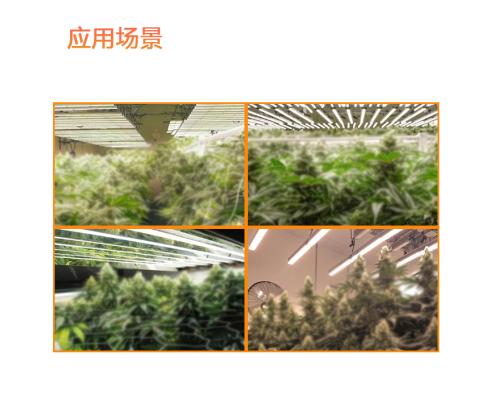 LED大功率折叠灯条补光灯