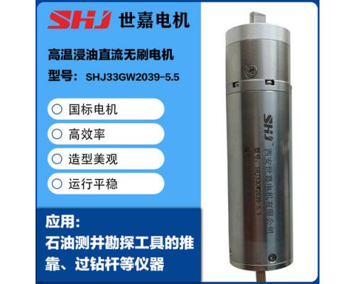 高温浸油型直流无刷电机SHJ33GW2039-5.5