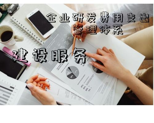 企业研发费用支出管理体系建设服务
